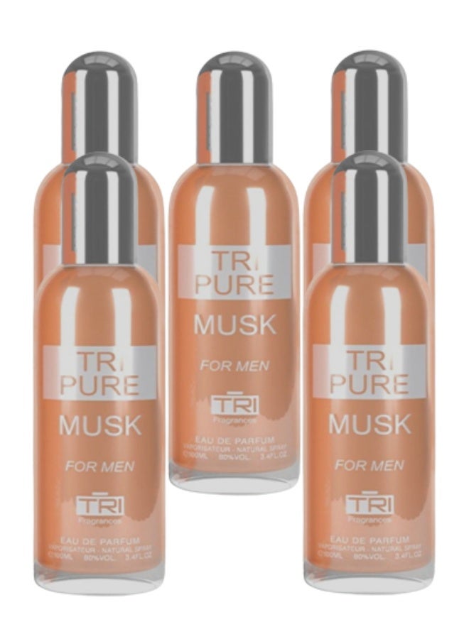 تي أر آي 5 قطع عطر المسك النقي للرجال 100 مل - Image 1