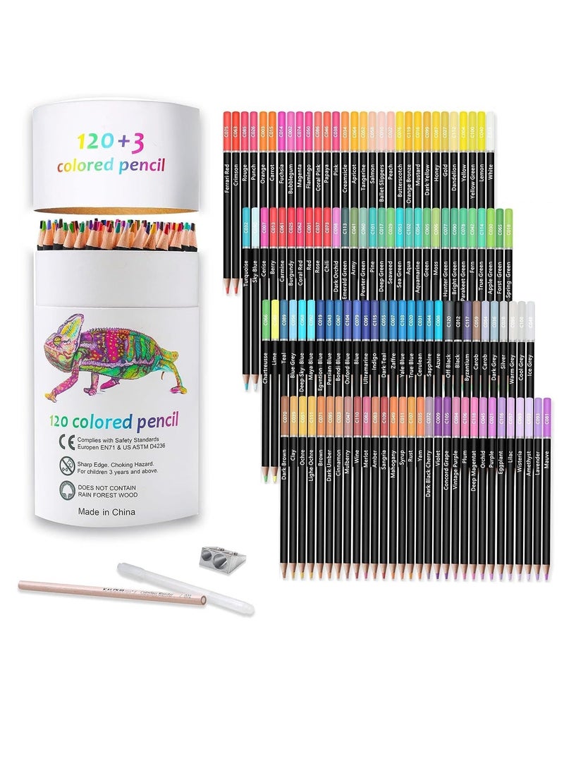 Y&D Premium Colored Pencils Set of 120 Colors, Artists Soft Core with Vibrant Color Ideal for Drawing Sketching Shading Art Adults Beginners kids  - Image 1