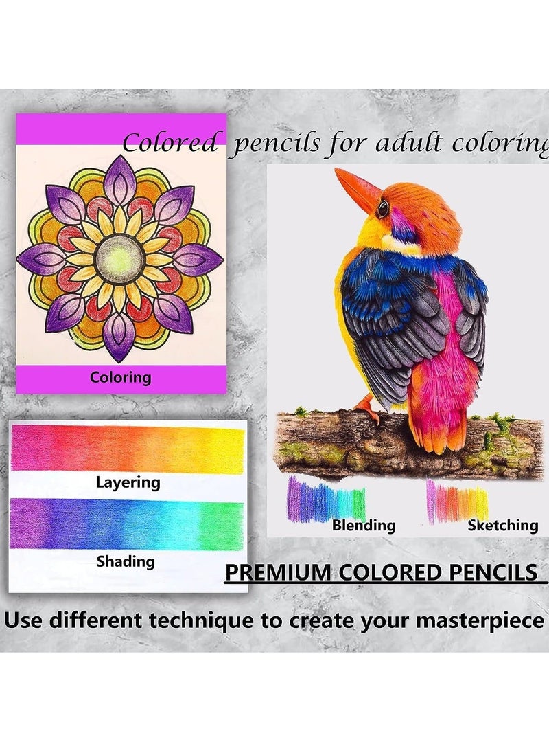 Y&D Premium Colored Pencils Set of 120 Colors, Artists Soft Core with Vibrant Color Ideal for Drawing Sketching Shading Art Adults Beginners kids  - Image 4
