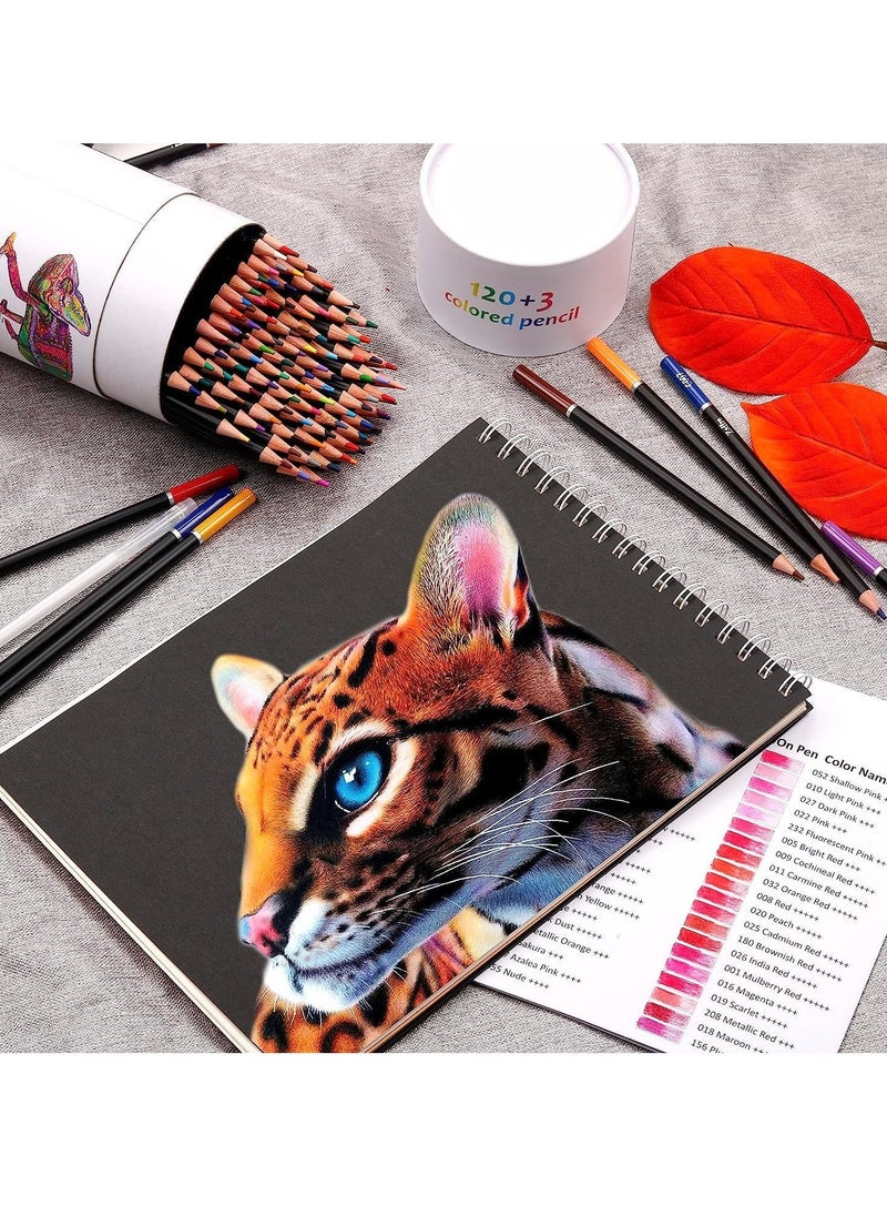 Y&D Premium Colored Pencils Set of 120 Colors, Artists Soft Core with Vibrant Color Ideal for Drawing Sketching Shading Art Adults Beginners kids  - Image 2