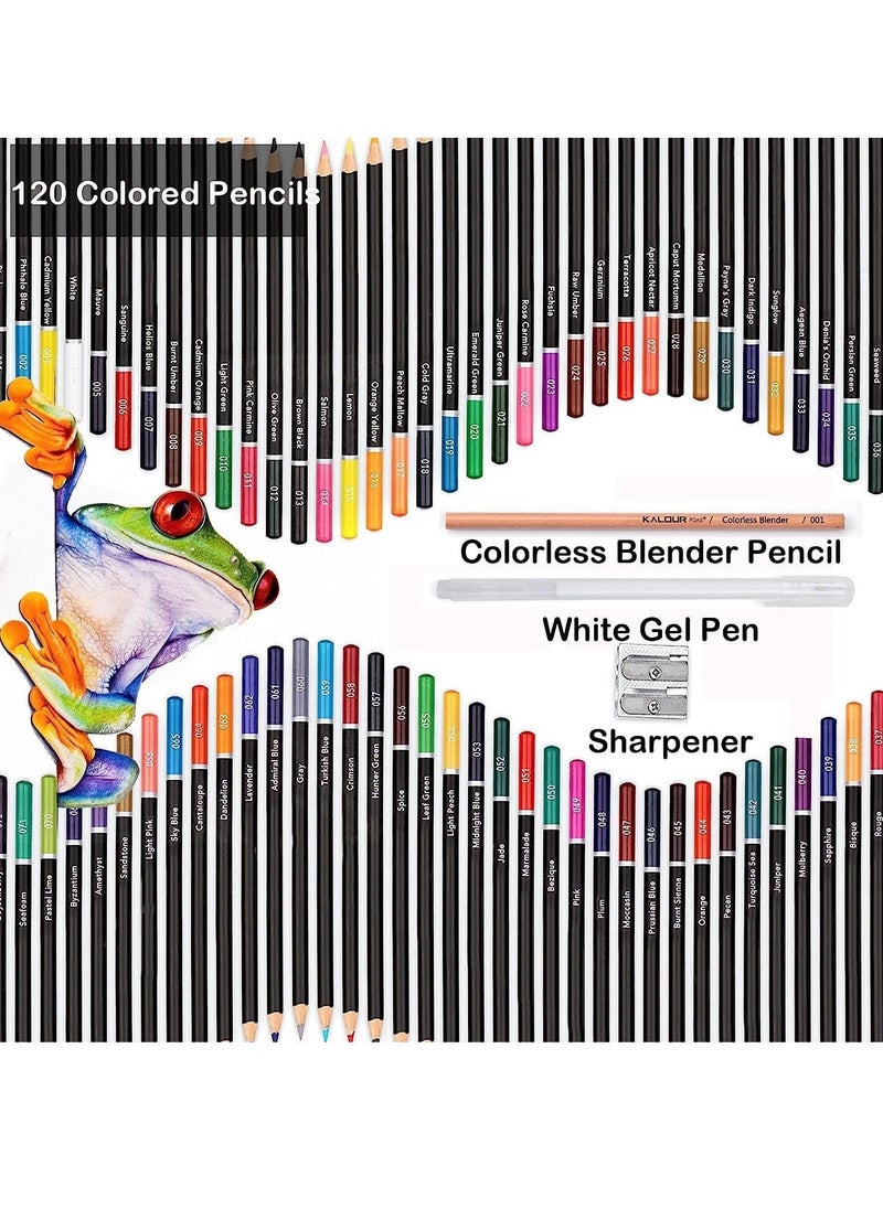 Y&D Premium Colored Pencils Set of 120 Colors, Artists Soft Core with Vibrant Color Ideal for Drawing Sketching Shading Art Adults Beginners kids  - Image 5