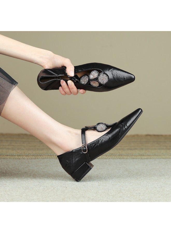 SAFIYA Saturday's 2025 New Spring/autumn Mary Jane Shoes, Versatile Pointed-toe Fashion Shoes For Women, Low-cut Flats - Image 5