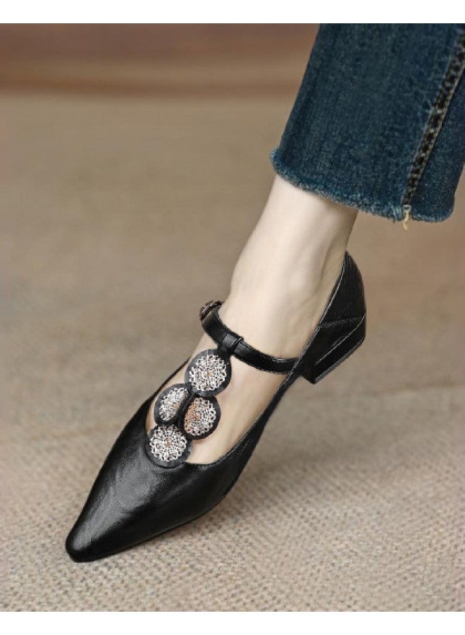 SAFIYA Saturday's 2025 New Spring/autumn Mary Jane Shoes, Versatile Pointed-toe Fashion Shoes For Women, Low-cut Flats - Image 1