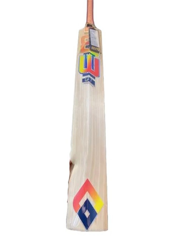 AASHRAY EM GT XR 7000 Kashmir Willow Season Cricket Bat (Size SH) - Image 3