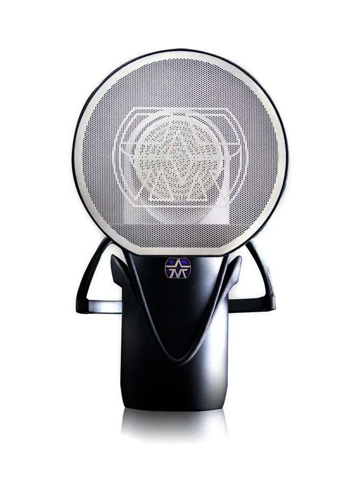 ASTON Aston Microphones Element Active Moving-coil Microphone, with Shock Mount and Magnetic Pop Filter  - Image 2