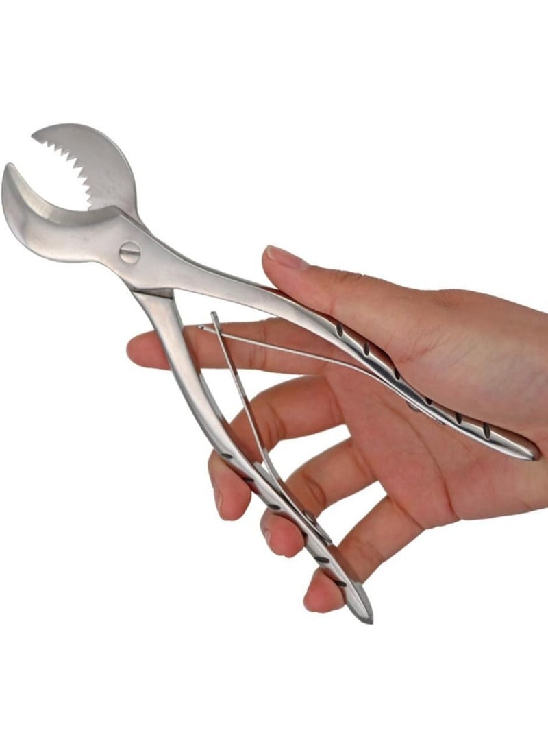 Ru syanl Stainless Steel Dental Pliers Plaster Nippers Cutter Dentist Lab Equipment Cow Horn Jaws Serrated Blade Spring Action  - Image 1