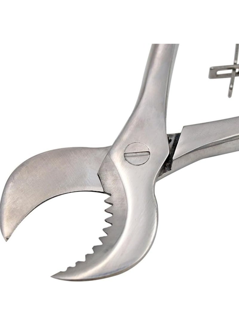 Ru syanl Stainless Steel Dental Pliers Plaster Nippers Cutter Dentist Lab Equipment Cow Horn Jaws Serrated Blade Spring Action  - Image 2