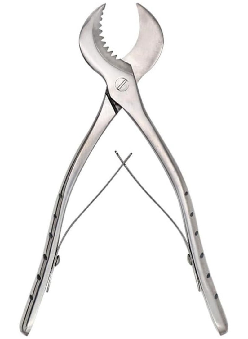 Ru syanl Stainless Steel Dental Pliers Plaster Nippers Cutter Dentist Lab Equipment Cow Horn Jaws Serrated Blade Spring Action  - Image 3