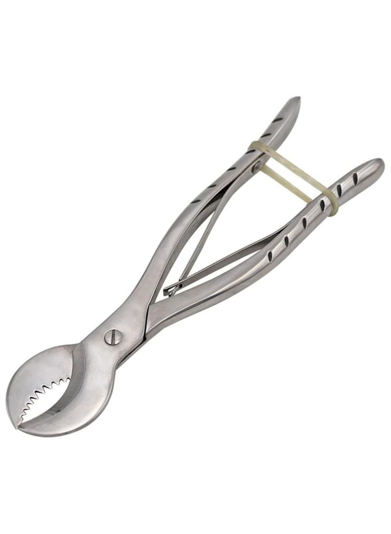 Ru syanl Stainless Steel Dental Pliers Plaster Nippers Cutter Dentist Lab Equipment Cow Horn Jaws Serrated Blade Spring Action  - Image 4