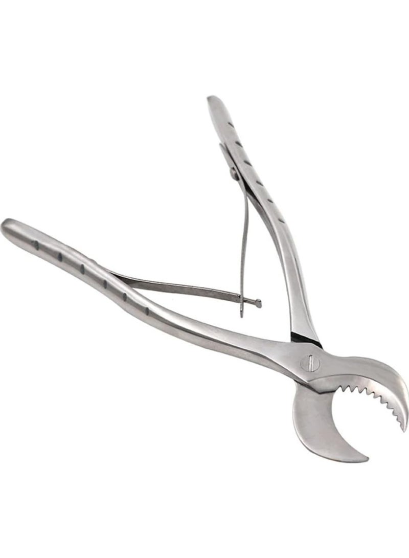 Ru syanl Stainless Steel Dental Pliers Plaster Nippers Cutter Dentist Lab Equipment Cow Horn Jaws Serrated Blade Spring Action  - Image 5