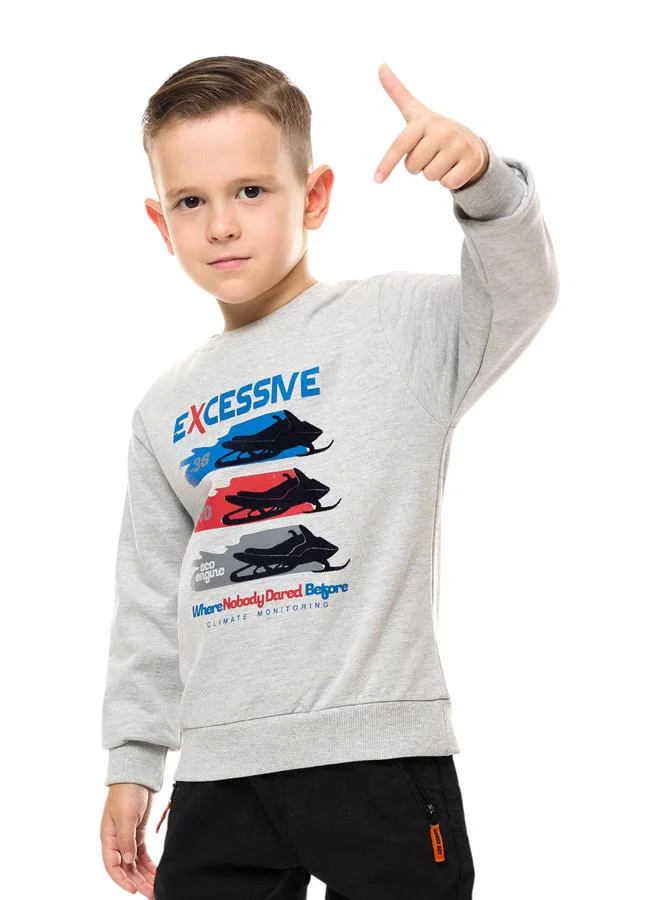 victor and jane Victor And Jane Boys Grey Graphic Print Sweatshirt