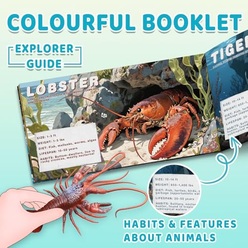 MOEAWS 20 Pcs Ocean Animal Toy with Educational Booklet Plastic Sea Animal with Gift Box Mini Sea Creature Figures for Kids Age 3 Birthday Gift Ocean Theme Party Favor Water Bath Toy for Toddler - Image 5