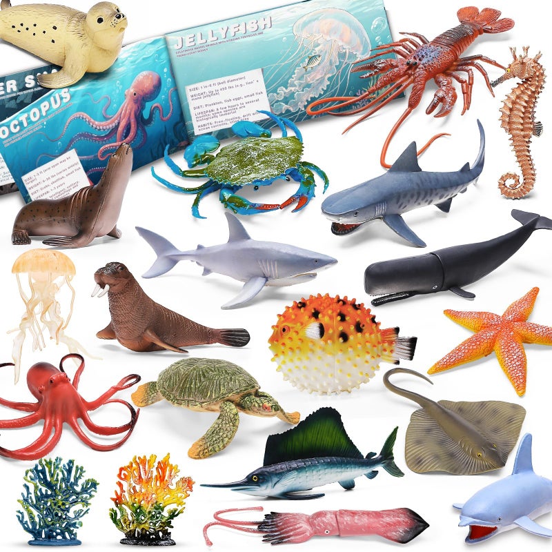 MOEAWS 20 Pcs Ocean Animal Toy with Educational Booklet Plastic Sea Animal with Gift Box Mini Sea Creature Figures for Kids Age 3 Birthday Gift Ocean Theme Party Favor Water Bath Toy for Toddler - Image 3