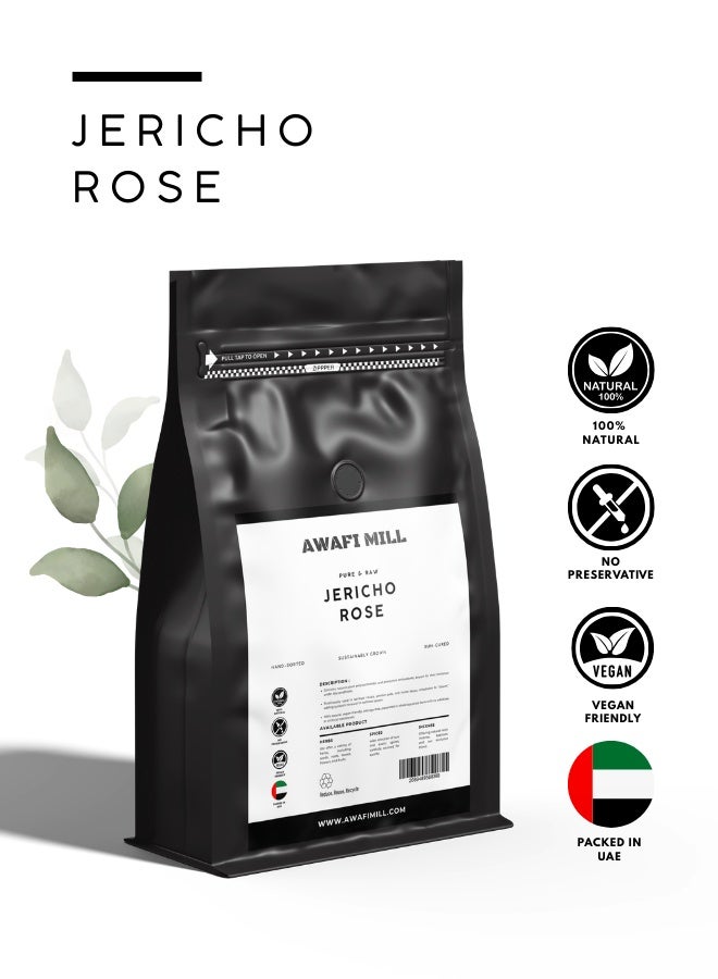 أباميك عوافي ميل جيريكو روز | أناستاتيكا هيروشونتيكا - عبوة من 12 قطعة - Image 2