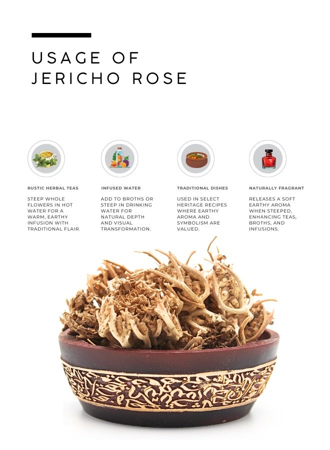 أباميك عوافي ميل جيريكو روز | أناستاتيكا هيروشونتيكا - عبوة من 12 قطعة - Image 3