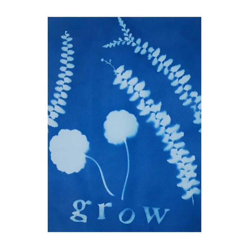 TEDCO مجموعة ورق فن الشمس 4x6 - Image 3