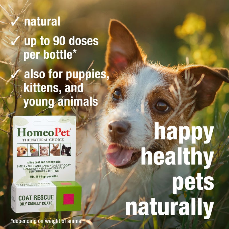 HomeoPet Coat Rescue, Skin and Coat Support for Pets, 15 Milliliters - Image 4