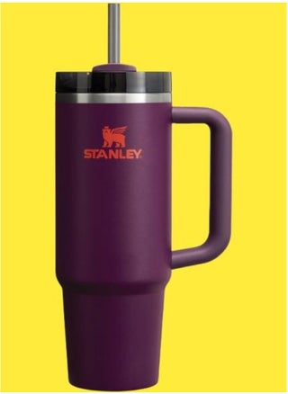 Stanley Quencher H2.0 FlowState Stainless Steel Vacuum Insulated Tumbler, 40oz – Keeps Water, Iced Tea, Coffee, Smoothies & More Cold for Hours, Spill-Proof Lid with Straw, Durable Ergonomic Handle, Plum Color, Ideal for On-the-Go Hydration - pzsku/ZB2D236B6A37A1D2D9CBAZ/45/_/1740392714/a1f51818-d5a4-41fc-9ea6-4545e18b7e22