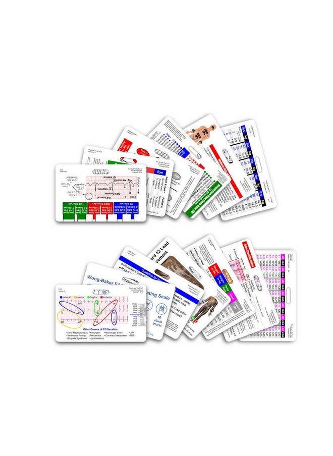 Scrubs and Stuff LLC Complete Ems Horizontal Badge Card Set 13 Cards  - Image 1