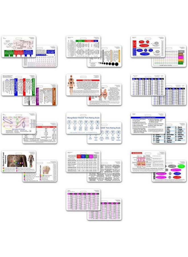 Scrubs and Stuff LLC Complete Ems Horizontal Badge Card Set 13 Cards  - Image 2