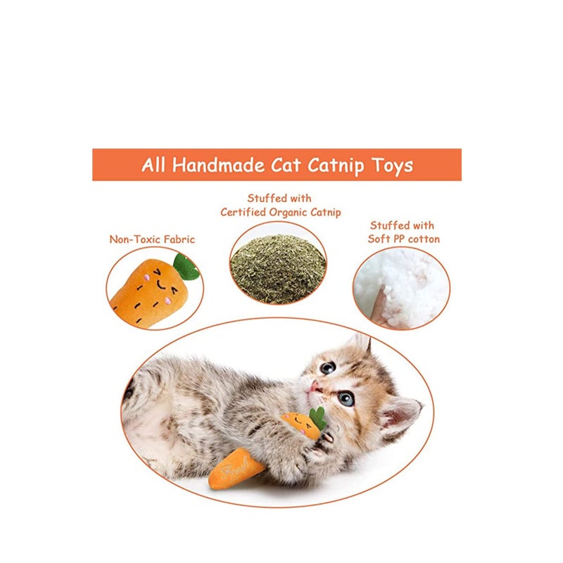 SOLARAE Cat Toys, Cat Chew Catnip Interactive Toy for Cat Lover Indoor Gift Cat Kitty Bite Toys Supplies Plush Gifts Fun Playing Toy - Image 3