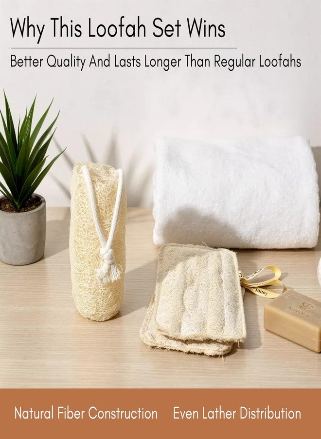 ORRIC Natural Loofah Sponge, 100% Natural, Deep Exfoliation, Softens and Smooths Skin Sun Dried Bath Loofah, Body Sponge for Men & Women (Pack of 2) - Image 5