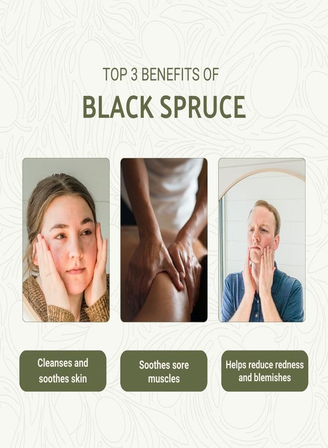 Nature Packaged Black Spruce Essential Oil from Canada - Pure Essential Oils for Diffuser, Humidifier, or Aromatherapy- Fresh & Forest-Like | Pure Therapeutic Grade (5ml) - Image 2