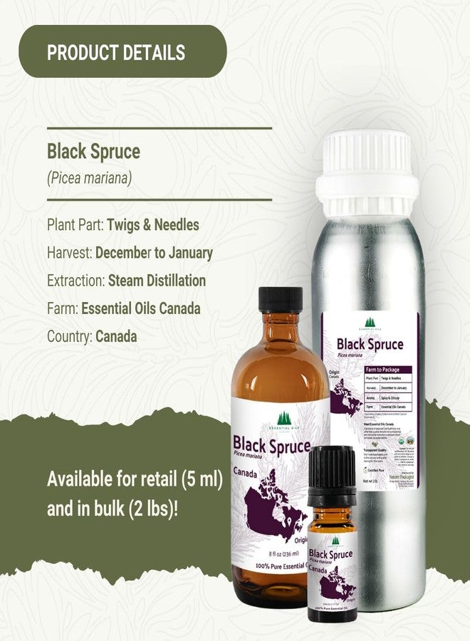 Nature Packaged Black Spruce Essential Oil from Canada - Pure Essential Oils for Diffuser, Humidifier, or Aromatherapy- Fresh & Forest-Like | Pure Therapeutic Grade (5ml) - Image 3