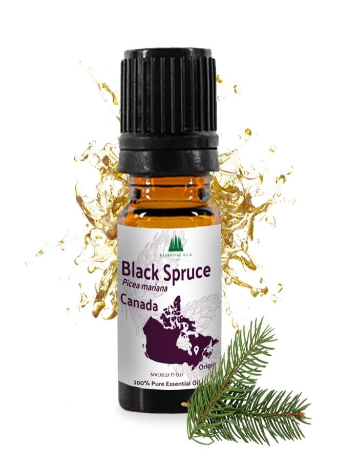 Nature Packaged Black Spruce Essential Oil from Canada - Pure Essential Oils for Diffuser, Humidifier, or Aromatherapy- Fresh & Forest-Like | Pure Therapeutic Grade (5ml) - Image 1
