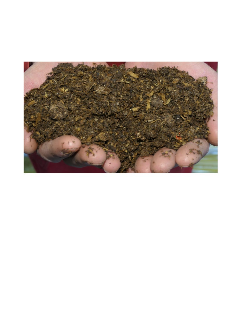 كنب بيليه سماد الدجاج العضوي 10 كجم - Image 1
