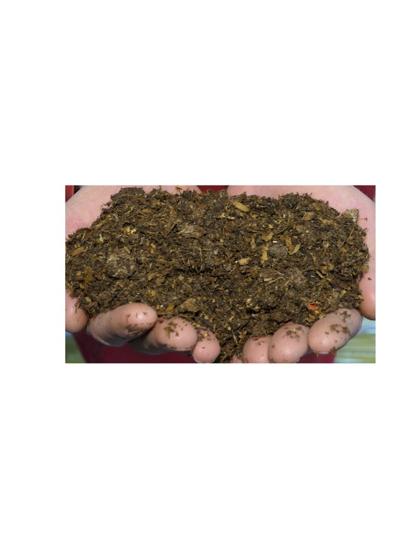 كنب بيليه سماد الدجاج العضوي 10 كجم - Image 3