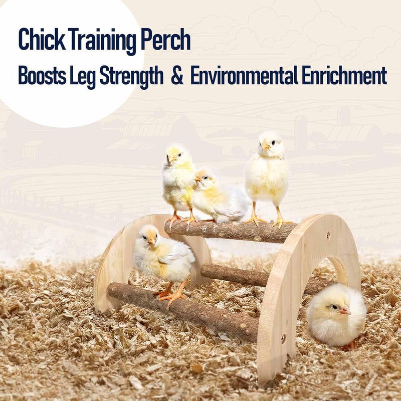 WORLEYX Chick Perch - Natural Wood Chick Roosting Bar for Brooder, Baby Chicken Supplies （2 Pack） - Image 2