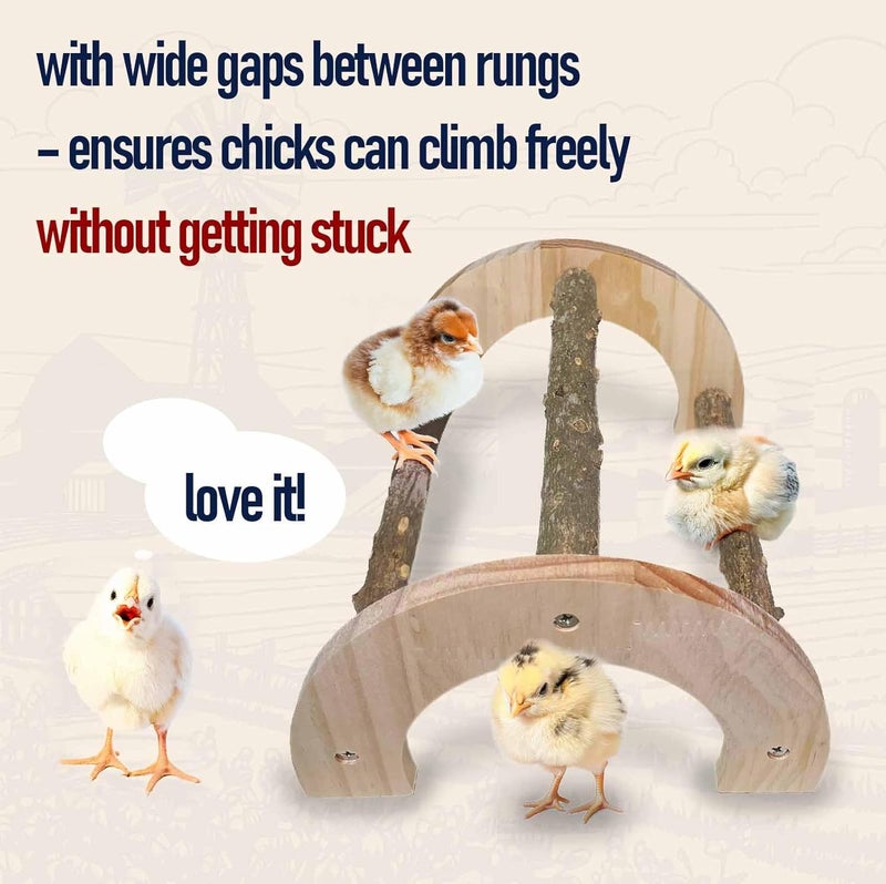 WORLEYX Chick Perch - Natural Wood Chick Roosting Bar for Brooder, Baby Chicken Supplies （2 Pack） - Image 4