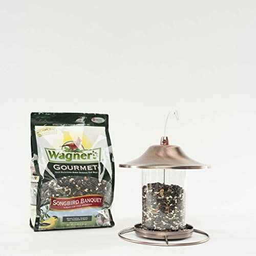 Wagner's 82042 Songbird Banquet Wild Bird Food, 5-Pound Bag - Image 5