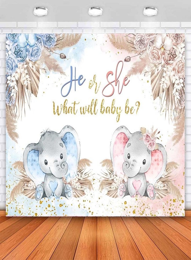 Sensfun Boho Elephant Gender Reveal Backdrop for Party Decorations He or She What Will Baby Be Gender Reveal Photography Background Pampas Grass Boy or Girl Baby Shower Backdrops Photoshoot 7x5ft - Image 1
