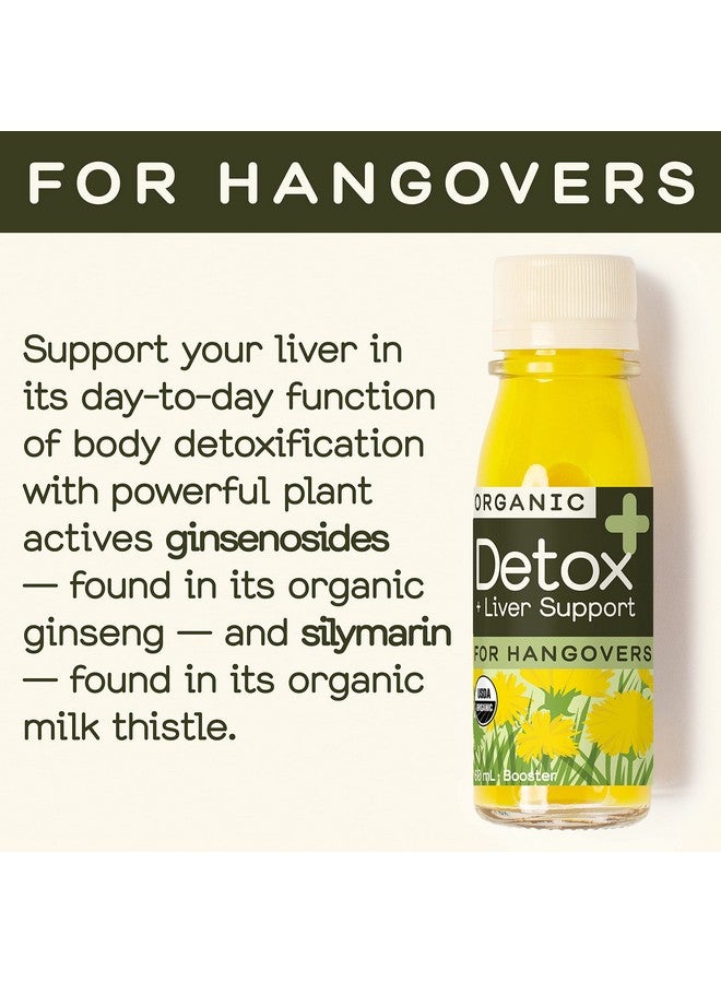 Generic Greenhouse Juice Detox Wellness Shots Organic Immunity Shots Juice Liver Health Wellness + Anti-Inflammatory with Ginseng, Milk Thistle, and Dandelion Vegan & Gluten-Free (2 Oz, Pack of 12)  - Image 5