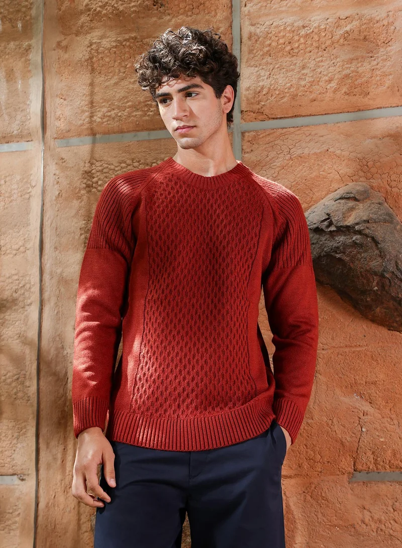 كامبوس سوترا Campus Sutra Men's Terracotta Brown Mesh-Jacquard Knit Pullover Sweater | Round Neck , Ribbed Cuff Sleeves , Pull On Closure , Ribbed-Straight Hem | Solid Jacquard For Casual & Daily Wear