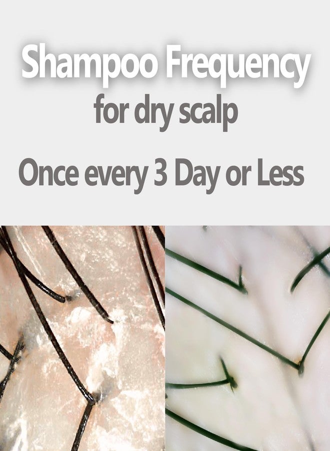 Aromase Dry Scalp Soothing Shampoo for Dry, Itchy, and Flaky Scalps - designed to relieve scalp itchiness and provide lasting comfort gently. - Image 5