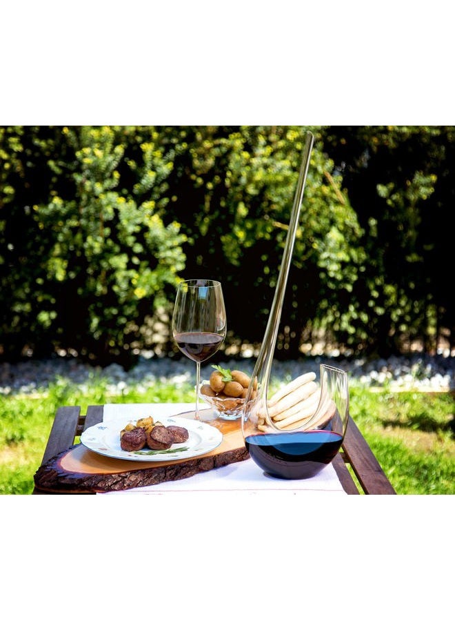 RIEDEL Swan Decanter - Image 2
