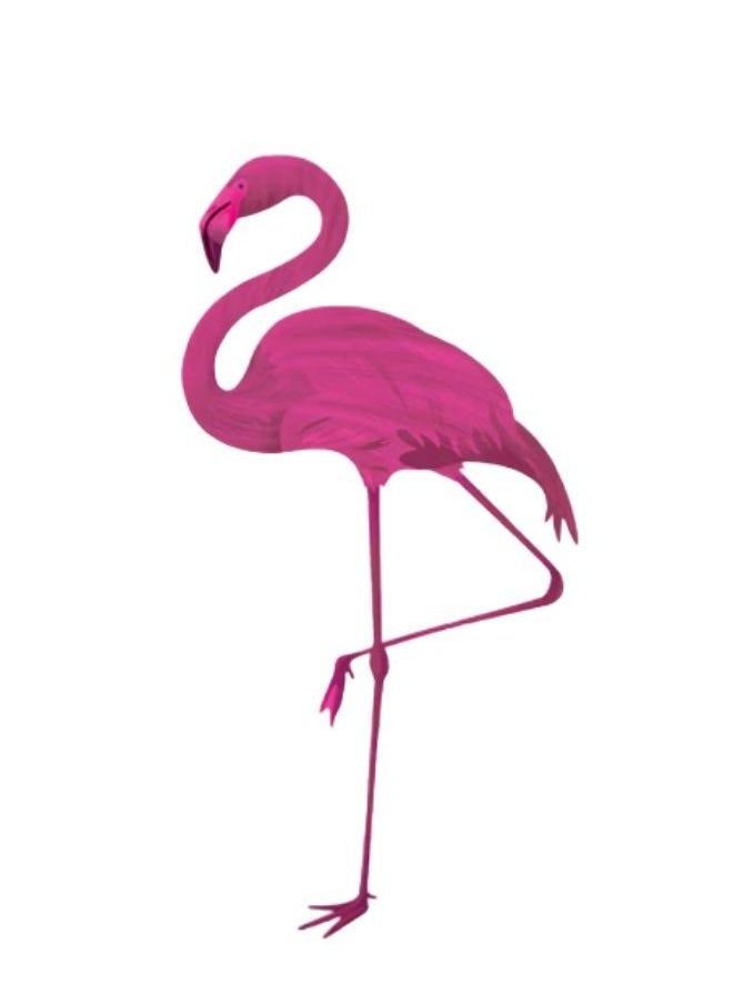 Jardin Flamingo - Moroccan Soap Liquid Argan Oil With Loofah Multicolored 500 ML - Image 1
