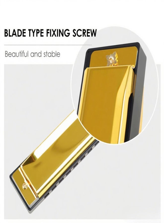 IRIN 10-Hole Harmonica Key of C 20-Tone Musical Gift with Storage Case for Beginner Student - Image 5