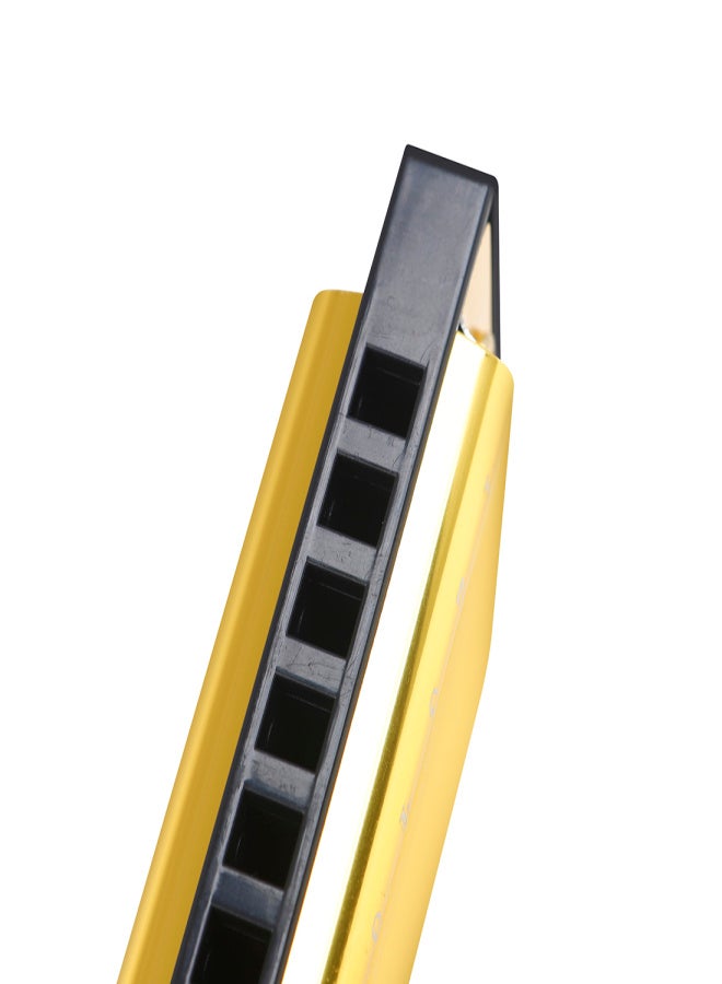 IRIN 10-Hole Harmonica Key of C 20-Tone Musical Gift with Storage Case for Beginner Student - Image 2