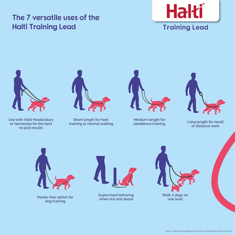 Halti مقود التدريب نوع هالتي - Image 2