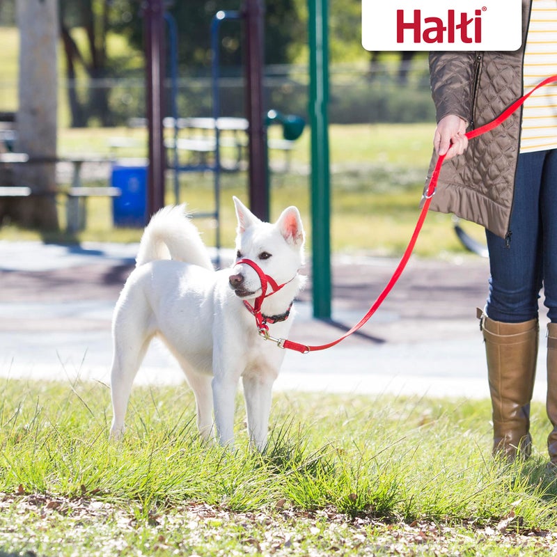 Halti مقود التدريب نوع هالتي - Image 3