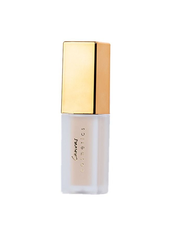Canvas cosmetics Multitasker Concealer I 