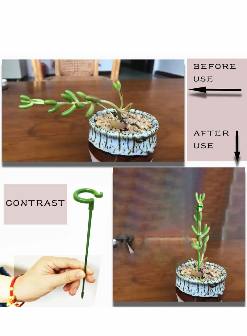 NIBEMINENT Plant Stakes for Indoor Plants 10Pcs 15 Inch Support Stakes, Garden Single Stem Flower Amaryllis Cage Rings with 10 pcs Clips Tomato Orchid Lily Peony Rose  - Image 2