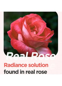 ISNTREE ISNTREE Real Rose Calming Face Mask 3.38 fl. oz. | Moisturizing Nourishing & Soothing 60% Damask Rose Water, Amino Acids Complex Hyaluronic Acid | Remove Dead Skin Cells Pore Build-ups | Korean Skin C  - Image 3
