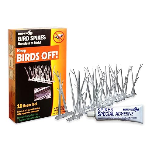 Bird-X Plastic Spikes Kit, Narrow Bird Spikes for Pigeons and Other Small Birds, Spikes with Adhesive, Contains 10 Pieces of 1 ft. Long x 3-inch Wide Strips, Cover 10 ft. Area - Image 1