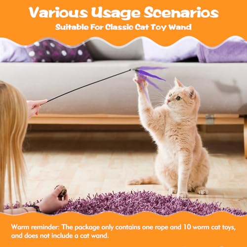 Kerros 10PCS Cat Worm Toy, Cat Wand Attachment Fuzzy Worm Toys Refill with 1PCS Black String for Wand Replacement, Interactive Cats Kittens Toys for Indoor - Image 5