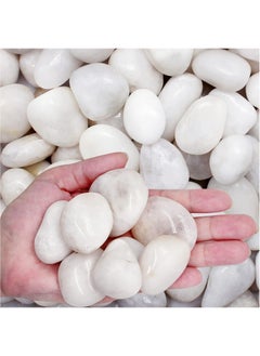 Generic 5lb (2.25 KG) White Pebbles Natural Decorative Stone Polished Gravel River Rocks for Plants Home DIY Décor Aquarium Gravel Vase Fillers Fairy Garden Landscaping Outdoor Stones  - Image 1